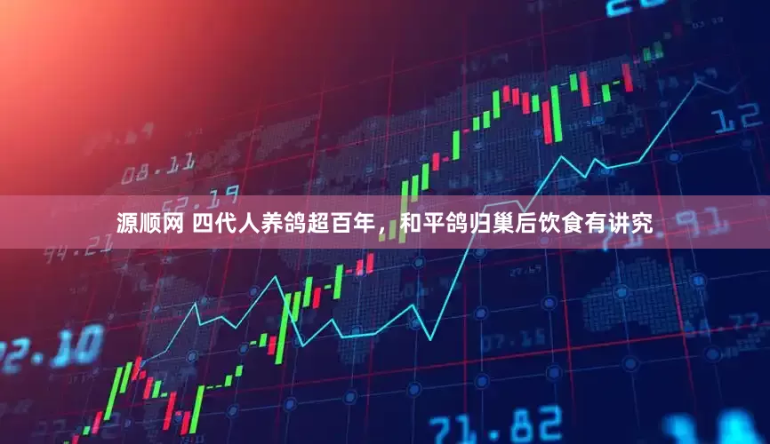 源顺网 四代人养鸽超百年，和平鸽归巢后饮食有讲究